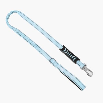 Dog Leash