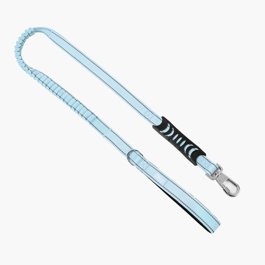 Dog Leash