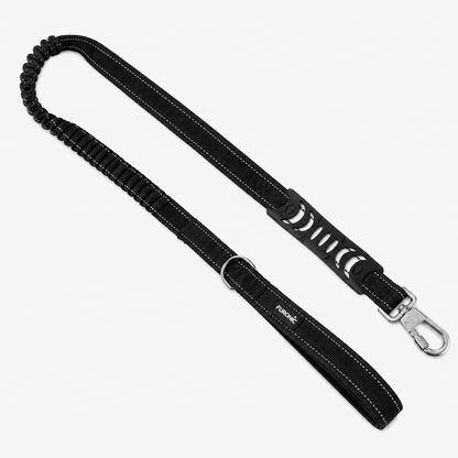 Dog Leash