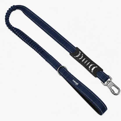 Dog Leash