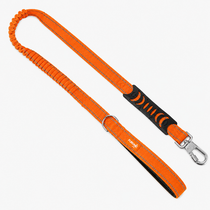 Dog Leash