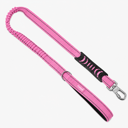 Dog Leash