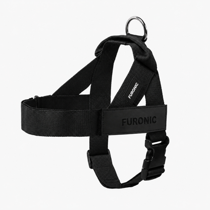 Personalized Dog Harness