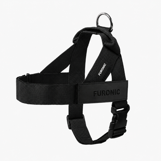 Personalized Dog Harness