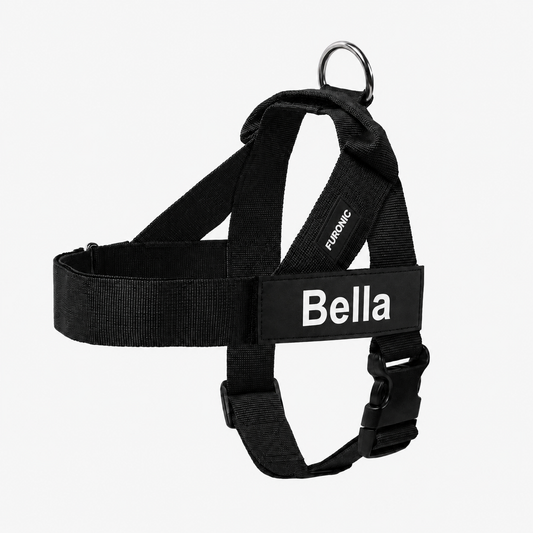 Personalized Dog Harness