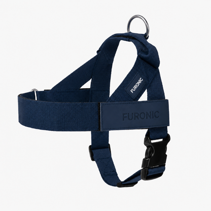 Personalized Dog Harness