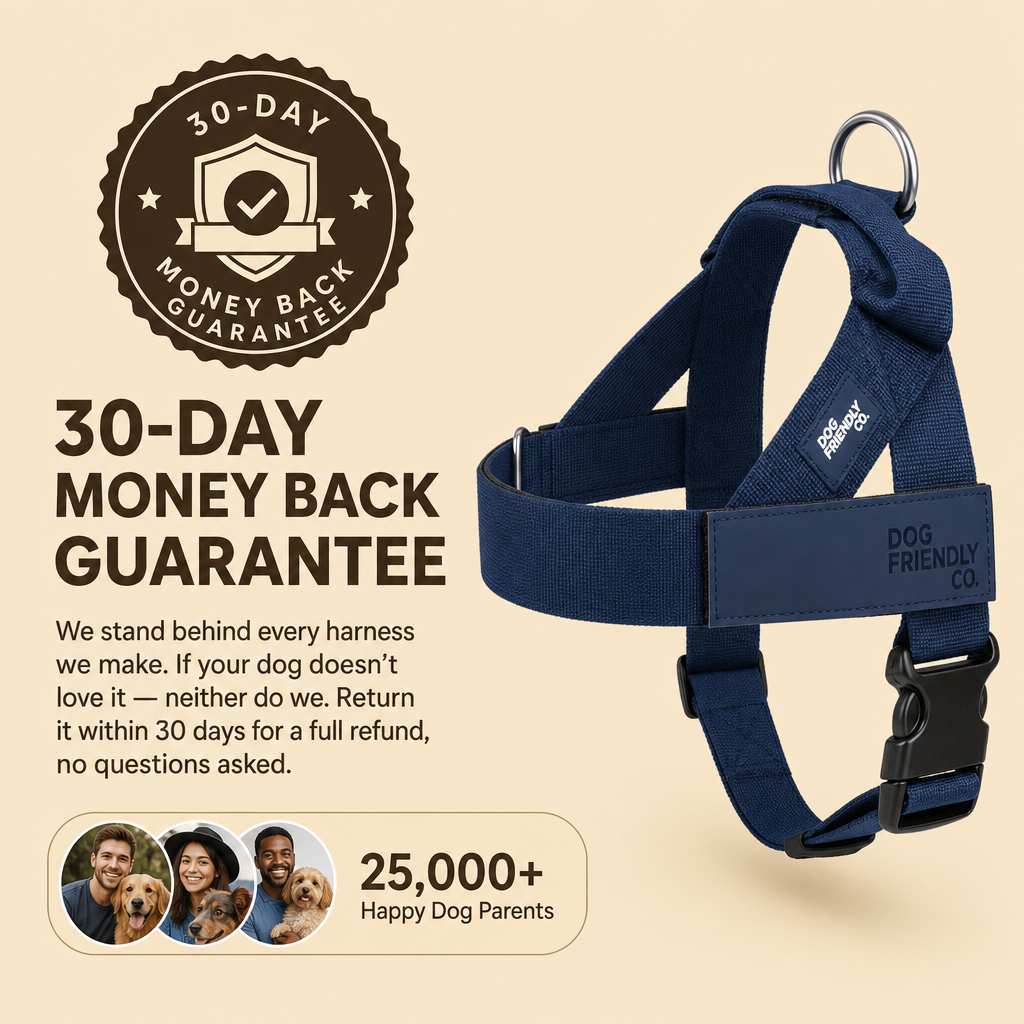 Personalized No-Pull Dog Harness