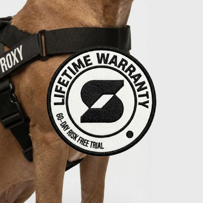 Personalized Dog Harness